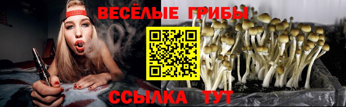 Галлюциногенные грибы ЛСД Учалы