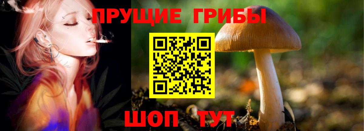 Галлюциногенные грибы Magic Shrooms  Вход с VPN  купить наркоту  Псилоцибиновые грибы мухоморы  Учалы 